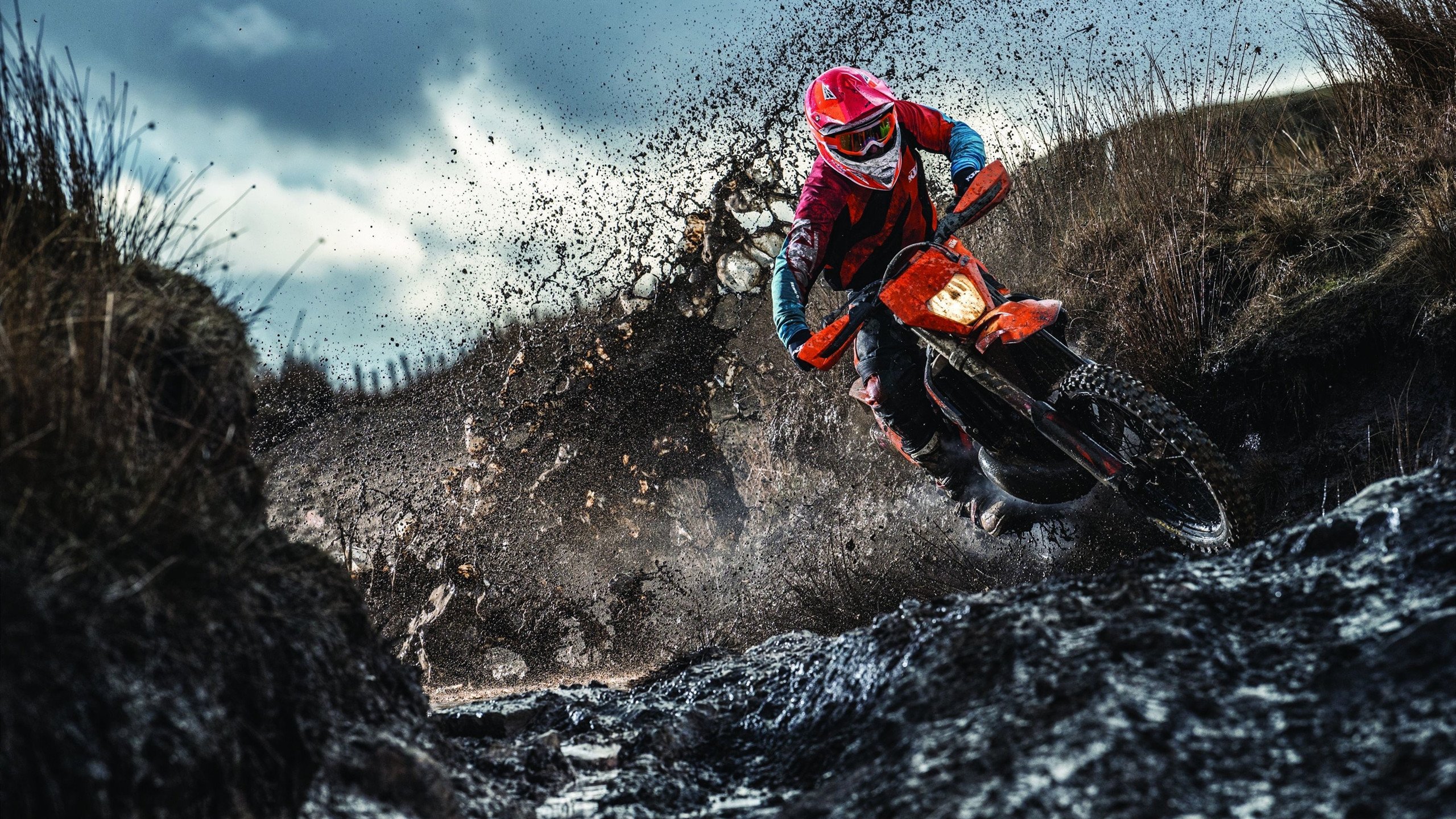 中国篮球的未来正在绽放光芒，中国篮球未来如何发展